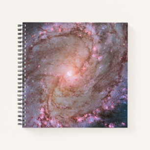 Barred Spiral Galaxy Messier 83. Notebook