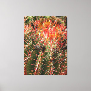 Barrel Cactus Canvas Print