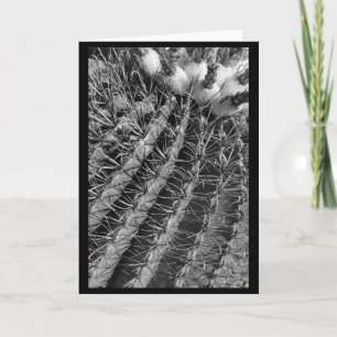 Barrel Cactus Card