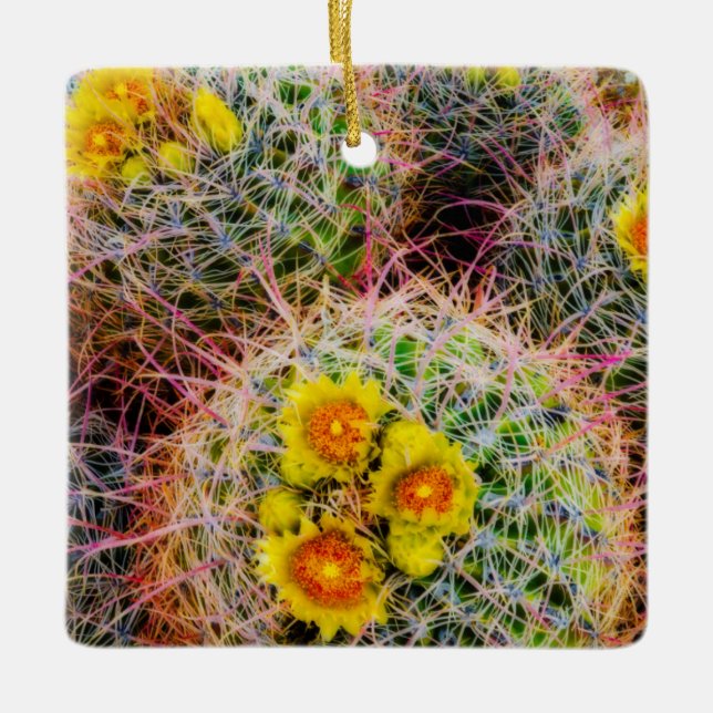 Barrel cactus close up, California Ceramic Ornament (Front)