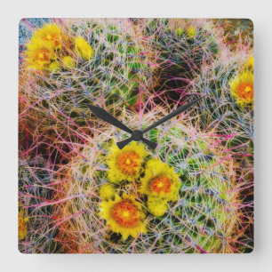 Barrel cactus close up, California Square Wall Clock