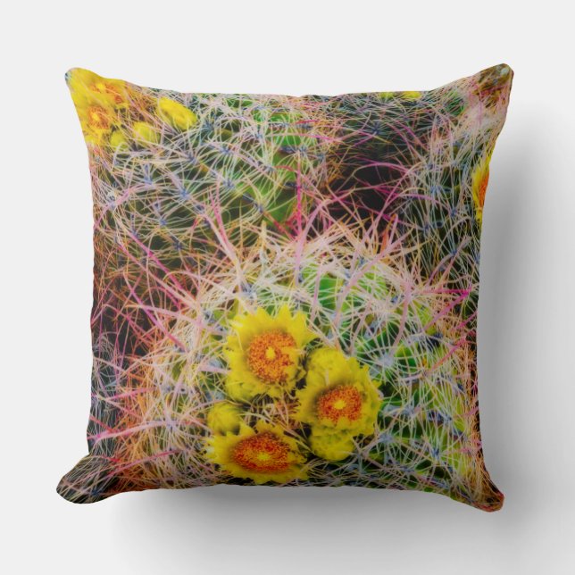 Barrel cactus close up, California Throw Pillow (Front)