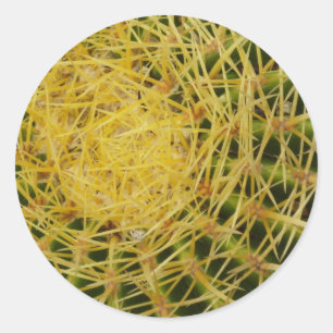 Barrel Cactus Closeup Abstract Nature Photography Classic Round Sticker