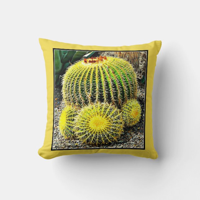Barrel Cactus Custom Pillow (Front)