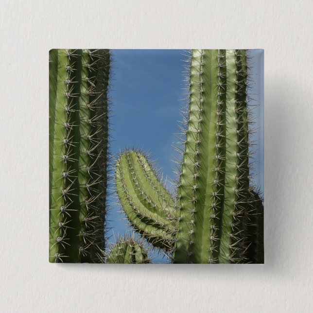 Barrel Cactus I Desert Photo 2 Inch Square Button (Front)