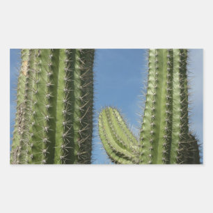 Barrel Cactus I Desert Photo Sticker