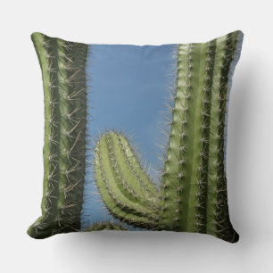 Barrel Cactus I Desert Photo Throw Pillow