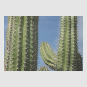 Barrel Cactus I Desert Photo Tissue Paper