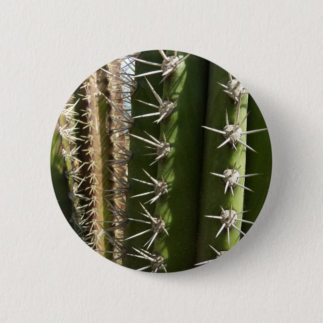 Barrel Cactus II Desert Nature Photo 2 Inch Round Button (Front)