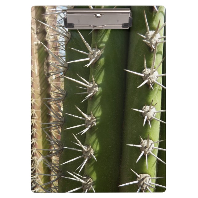 Barrel Cactus II Desert Nature Photo Clipboard (Front)