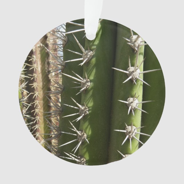 Barrel Cactus II Desert Nature Photo Ornament (Front)