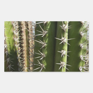 Barrel Cactus II Desert Nature Photo Sticker