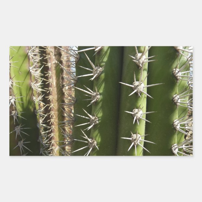 Barrel Cactus II Desert Nature Photo Sticker (Front)