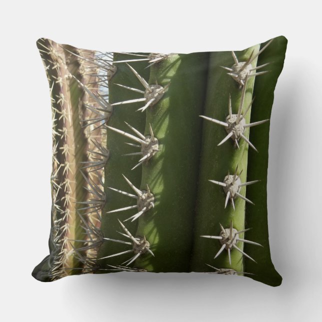 Barrel Cactus II Desert Nature Photo Throw Pillow (Front)