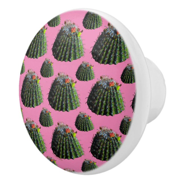 Barrel Cactus Knobs (Right)