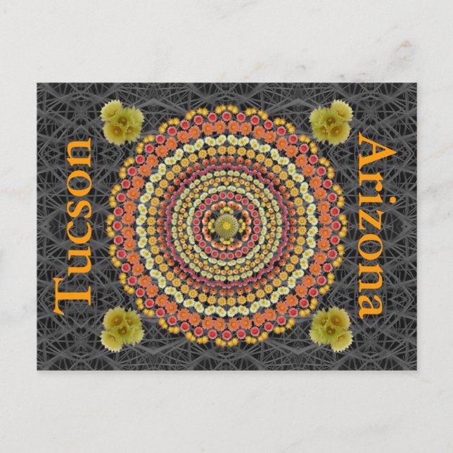 Barrel Cactus Mandala 2 comme carte postale (Devant)