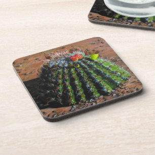 Barrel Cactus Plastic Coasters