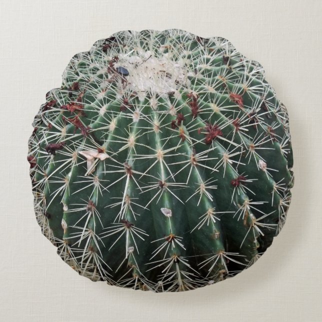 Barrel Cactus Southwest Design Desert Plants Round Pillow (Front)