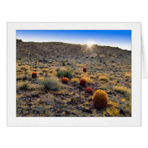 "Barrel Cactus Wake Up Call"