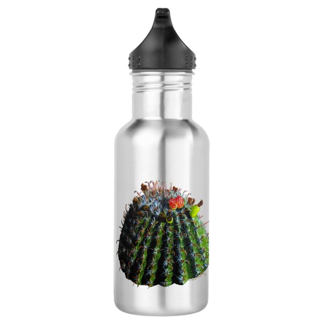 Barrel Cactus Water Bottle (Right)