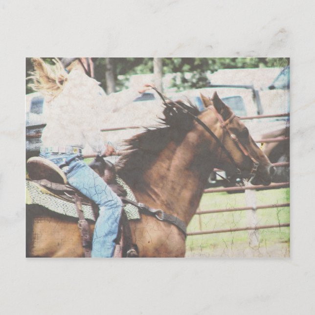 Barrel Racing Horse Postcard (Front)