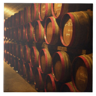 Barrels of Tokaj wine stacked in the Disznoko Tile
