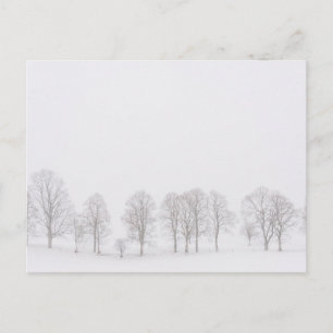 Barren arboré dans le monde blanc de neige carte p