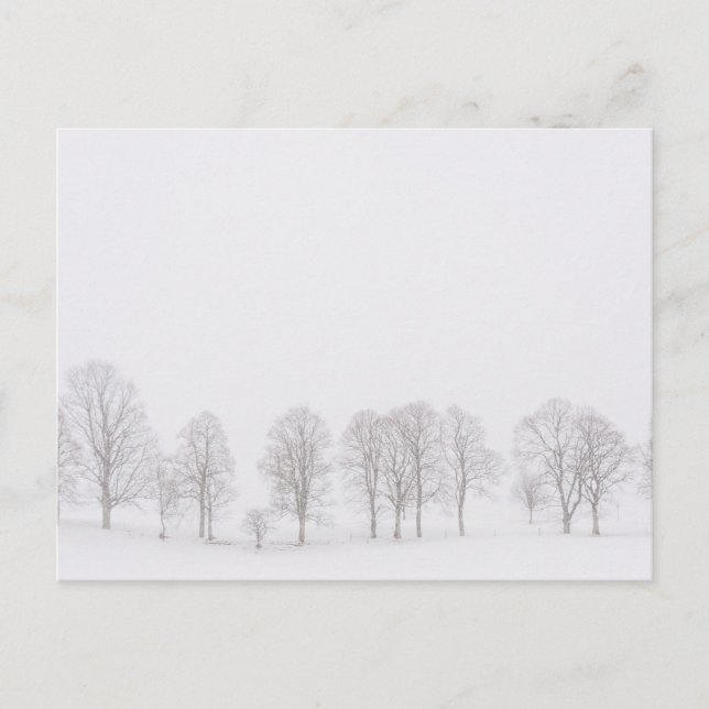 Barren arboré dans le monde blanc de neige carte p (Devant)