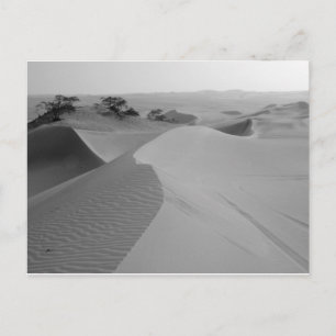 Barren Postcard