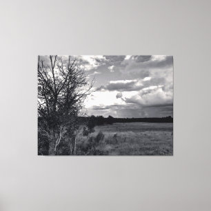 Barren Tree Under Cloudy Sky Canvas Print