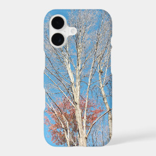 Barren Trees