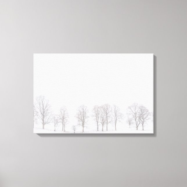 Barren trees in winter in snow white world canvas (Front)