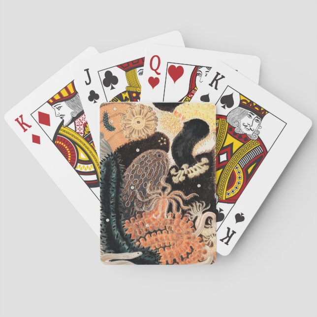 Barrier Reef Anemones Playing Cards (Back)