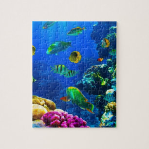 Barrier Reef Coral and fish puzzle