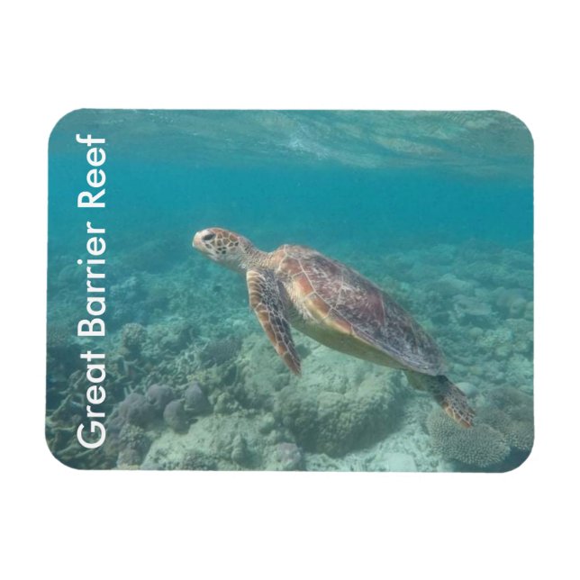 barrier reef turtle magnet (Horizontal)