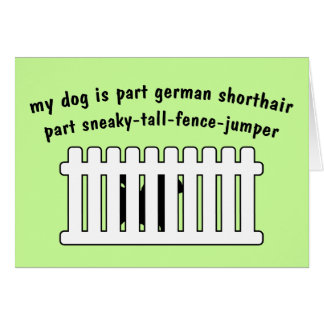 Barrière-Pullover de pièce de Shorthair d'Allemand