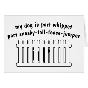 Barrière-Pullover de pièce de whippet de partie