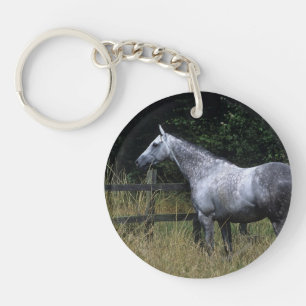 Barrière se tenante prêt de cheval de pur sang