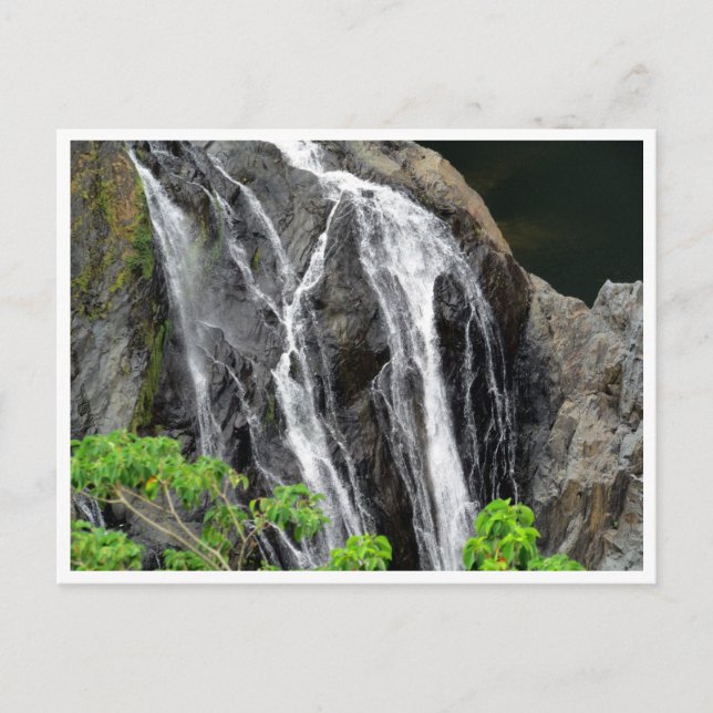 barron falls postcard (Front)