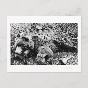 Barr's Bear Over 10 Foot Long, Alaska Postcard