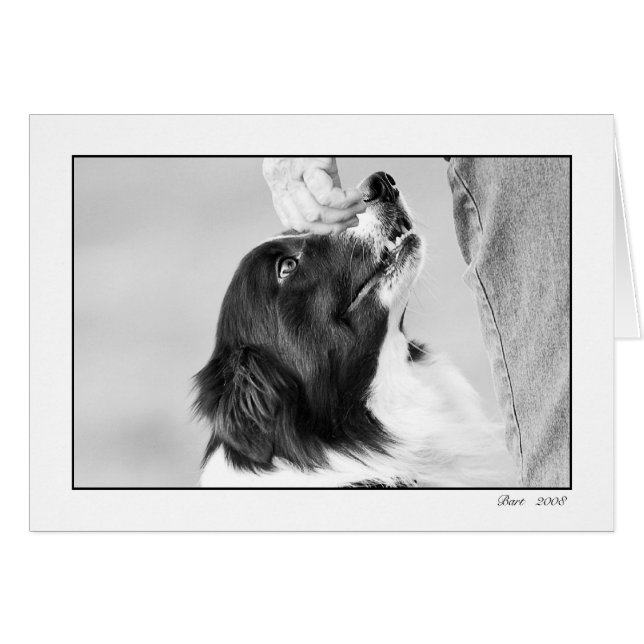 bart card (Front Horizontal)