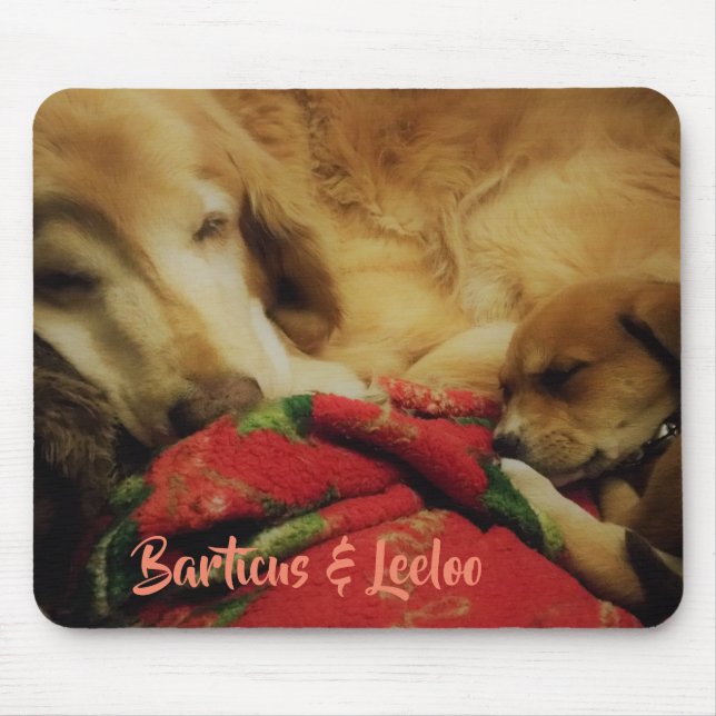 Barticus & Leeloo Mousepad (Front)