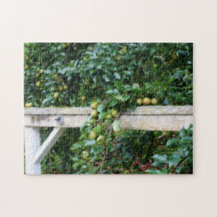 Bartlett Pears On Tree Orton Effect  Jigsaw Puzzle