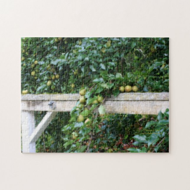 Bartlett Pears On Tree Orton Effect  Jigsaw Puzzle (Horizontal)