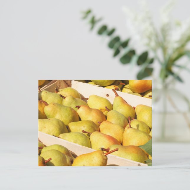 Bartlett Pears Postcard (Standing Front)