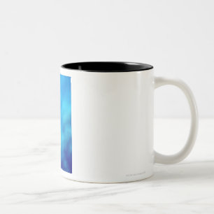 Bartlett's anthias Two-Tone coffee mug