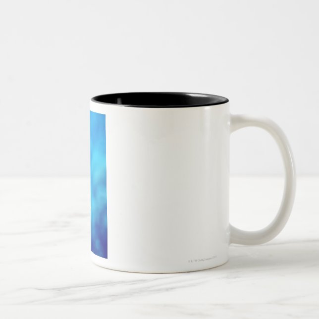 Bartlett's anthias Two-Tone coffee mug (Right)