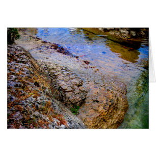 Barton Creek 7- Austin Texas