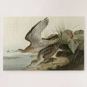 Bartram (Upland) Sandpiper - Audubon Birds America Jigsaw Puzzle