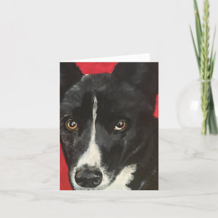 Baru - Pet Portrait Notecard